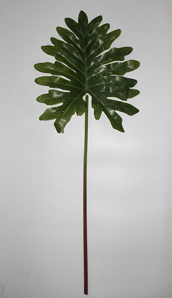 artificial philodendron leaf