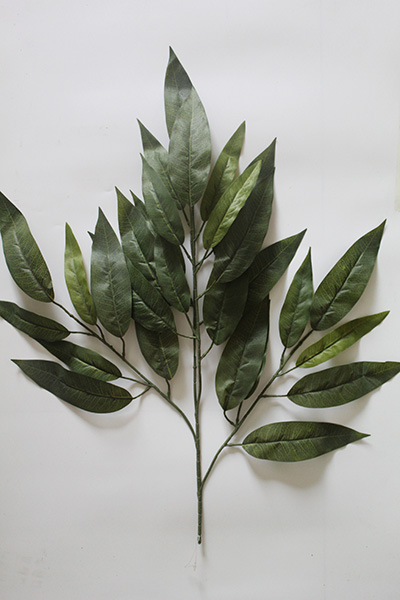 mango leaves order