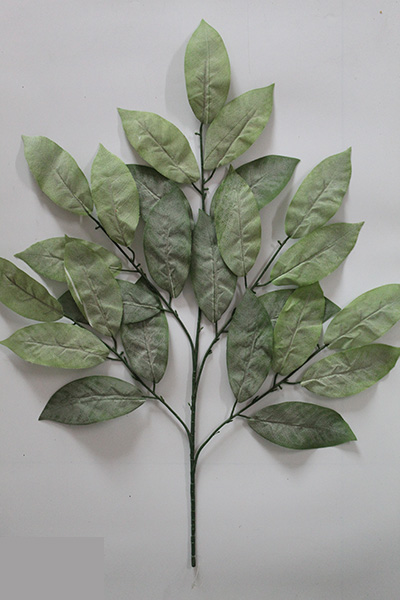 mango leaves wholesale