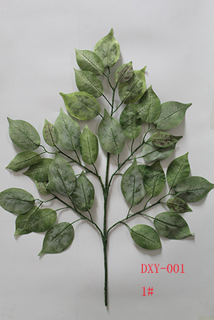 ficus benjamina frost