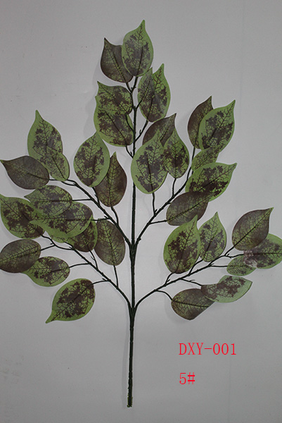 ficus benjamina leaves turning brown