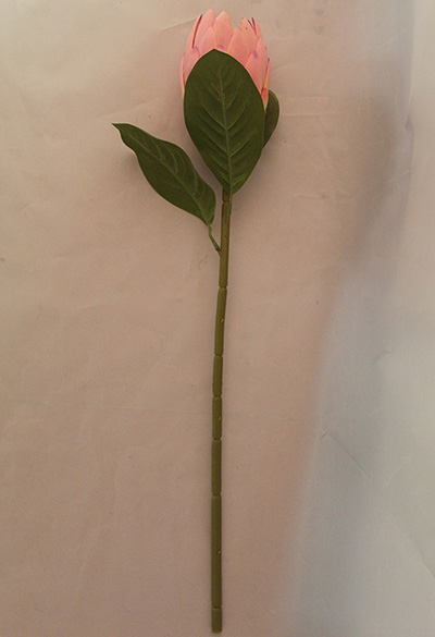 artificial protea flower stems